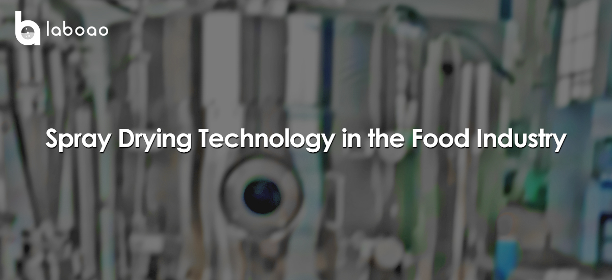 Spray Drying Technology In The Food Industry